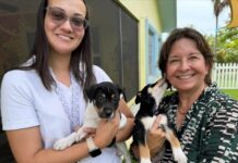 Humane Society launches ‘Summer of Fun’ for kids Humane Society puppies visit Grace Christian Academy. Feedback from mothers at local school was the impetus for the animal charity to begin its 'Summer of Fun'. - Photo: Supplied