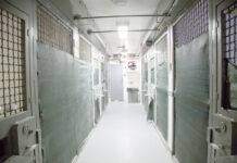 Thirty percent of Northward prisoners experiencing mental health problems Northward prison