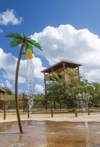 Summer Sports Activities Kids Love in the Cayman Islands