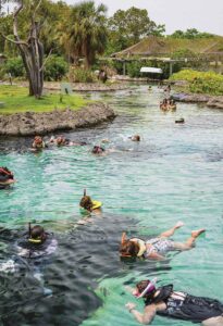 Summer Sports Activities Kids Love in the Cayman Islands
