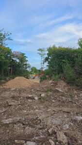 Heavy equipment clears trees in a forest along Walkers Road in George Town. - Photo: Supplied