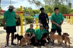 Department of Agriculture hopes a walk on the beach leads to adoption department of agriculture