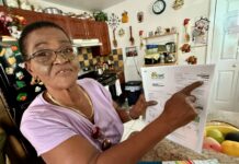 Meet the residents turning a profit on their power bills