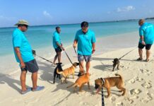 Meet, greet and walk with puppies on Sunday morning Department of Agriculture staff members with four-legged friends at a previous 'Puppies on the Beach' event.