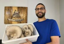 Primitive Greens builds a mushroom empire on 320 square feet mushroom