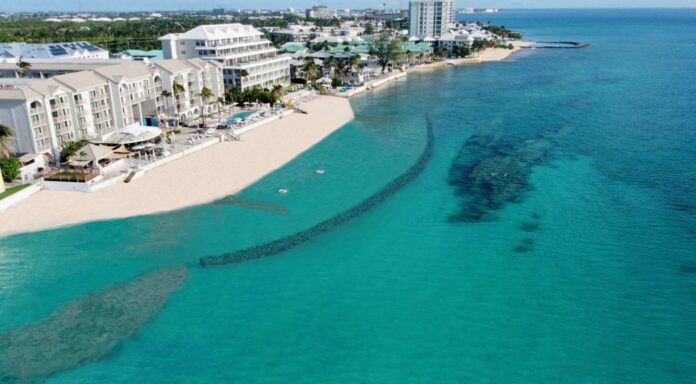 A computer-generated image from the application shows how the restored beach would look. - Photo: File