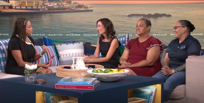 Bridge Foundation on Daybreak The Bridge Foundation appearing on Daybreak