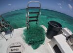 New warnings over ‘ghost nets’ after dive boat finds trapped sharks ghost net