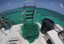 New warnings over ‘ghost nets’ after dive boat finds trapped sharks ghost net