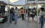 Healing through heritage: Cayman museum hosts wellness market healing
