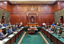 Divided loyalties? How MPs balance their private interests and public roles