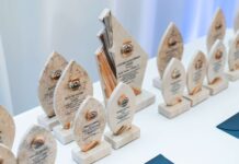 Nominations open for Business Excellence Awards