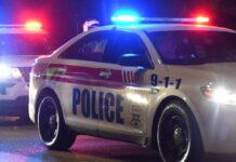 Pedestrian killed, another hospitalised after being hit by vehicle collision