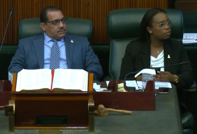 Finance committee chair Rolston Anglin