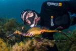 Famed ocean advocates bringing coral reef education to Cayman