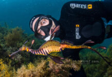 Famed ocean advocates bringing coral reef education to Cayman