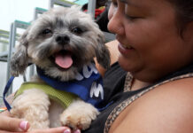 Dogs get break from full animal shelter at ‘Puppy Rodeo’