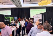 Small businesses shine at expo