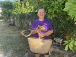 National Trust to host silver thatch event converges nature and heritage