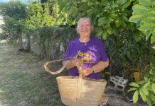 National Trust to host silver thatch event converges nature and heritage