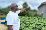 Community farm charity in great need of support farm