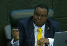 Cayman Finance funding questioned