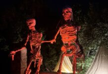 Shocks and horrors delight crowds at ‘Field of Screams’ Dart's Field of Dreams had been transformed for Halloween