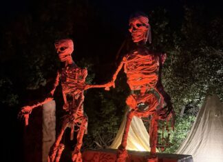 Shocks and horrors delight crowds at ‘Field of Screams’ Dart's Field of Dreams had been transformed for Halloween