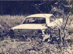 50 years ago: Cattle from Swan Island; nor’wester strikes