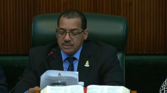 Minister Anglin Parliamentary Finance Committee