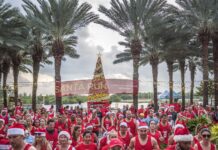 Cayman Food Bank appeals for public to dig deep for Christmas