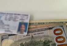 Will Cayman have the world’s most expensive driver’s licence?