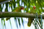 Cayman quietly emerging on the global environmental scene