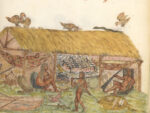 Cayman’s connection to the first people of the western Caribbean