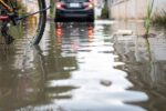 Leptospirosis outbreak worsens in post-hurricane Jamaica leptospirosis