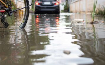 Leptospirosis outbreak worsens in post-hurricane Jamaica leptospirosis