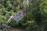 Public backs plan for Cayman’s first-ever national park Hemmington