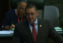 Opposition MPs raise concerns about impact of immigration bill Opposition Leader Joey Hew