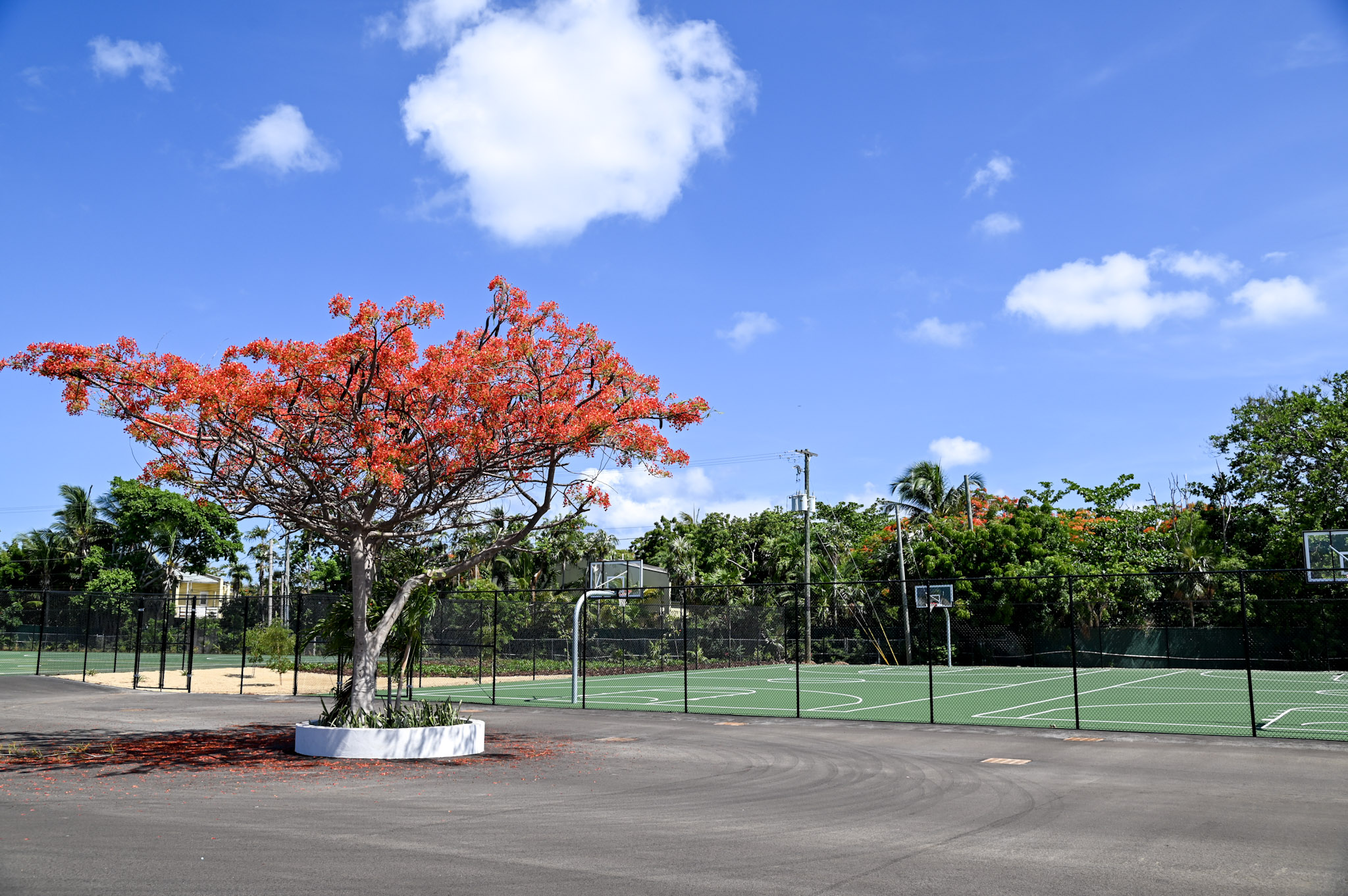New outdoor basketball courts at the John Gray High School campus