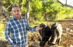 From pasture to pot, the enduring tradition that feeds Cayman at Christmas