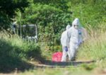 Movement of live poultry banned in Cayman amid bird flu outbreak