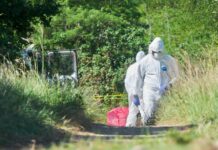 Movement of live poultry banned in Cayman amid bird flu outbreak