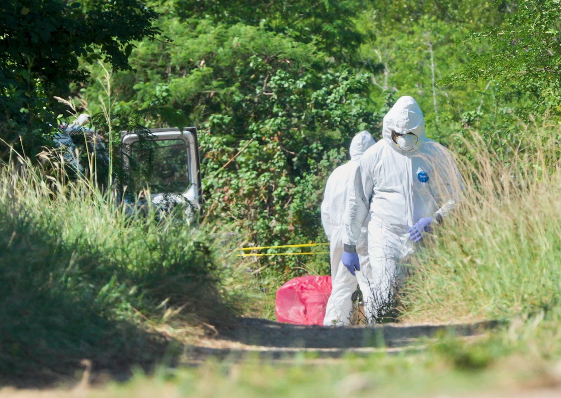 Movement of live poultry banned in Cayman amid bird flu outbreak