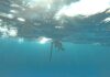 Government to clarify speargun licensing after Cabinet discussion speargun fishing