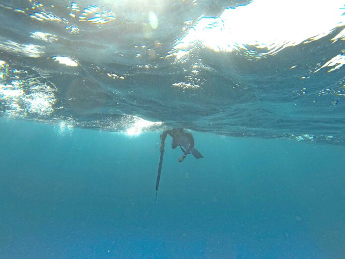 Speargun fishing speargun fishing