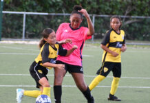 Semi-finals complete: Primary school football leagues set for finals day football