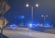 Assault suspect flees police, crashes vehicle