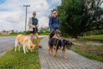 One Dog Jog raises funds for animal sanctuary