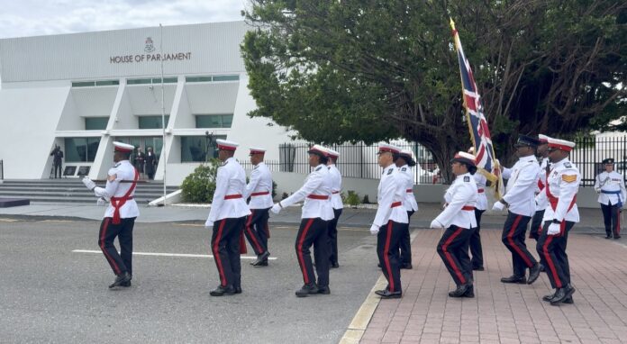 Police parade outside Parliament