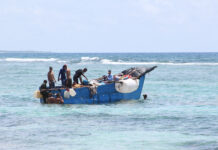 Interpreters sought as Cayman prepares for potential migrant influx